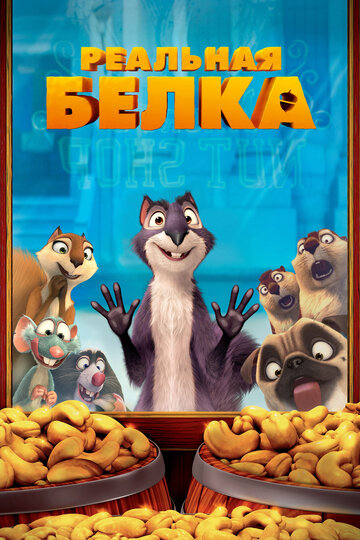 Реальная белка