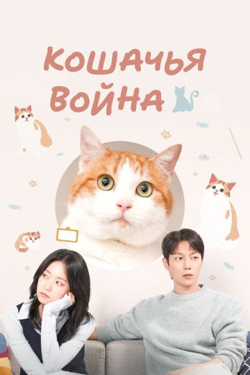 Кошачья война