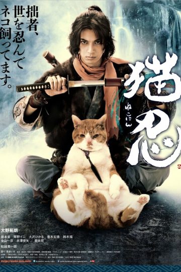 Нинздя и кот
