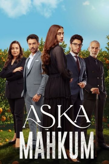 Заключенный любви