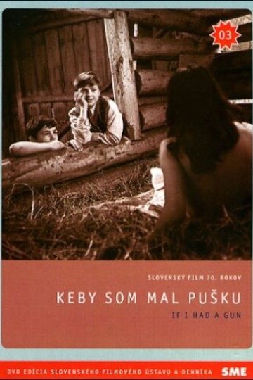 Если бы у меня было ружье