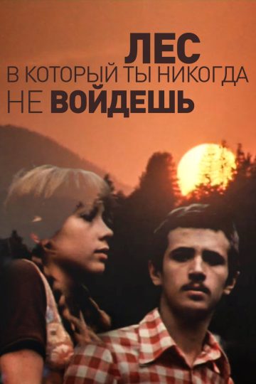 Лес, в который ты никогда не войдешь